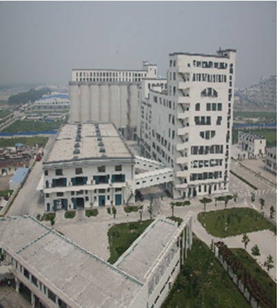 上海良友仓储基地